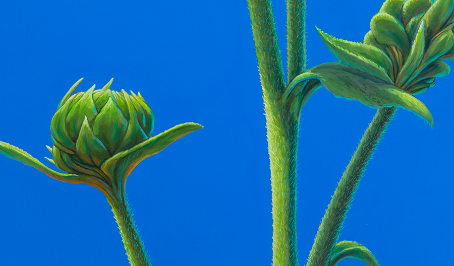 detail